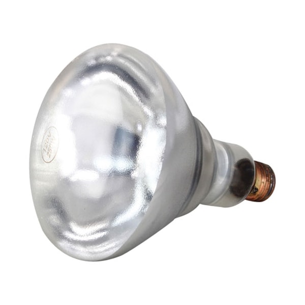 Infra-Red Lamp (Pk 12) (Clear) 120V, 250W Pk
